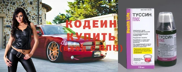 гашик Куйбышев
