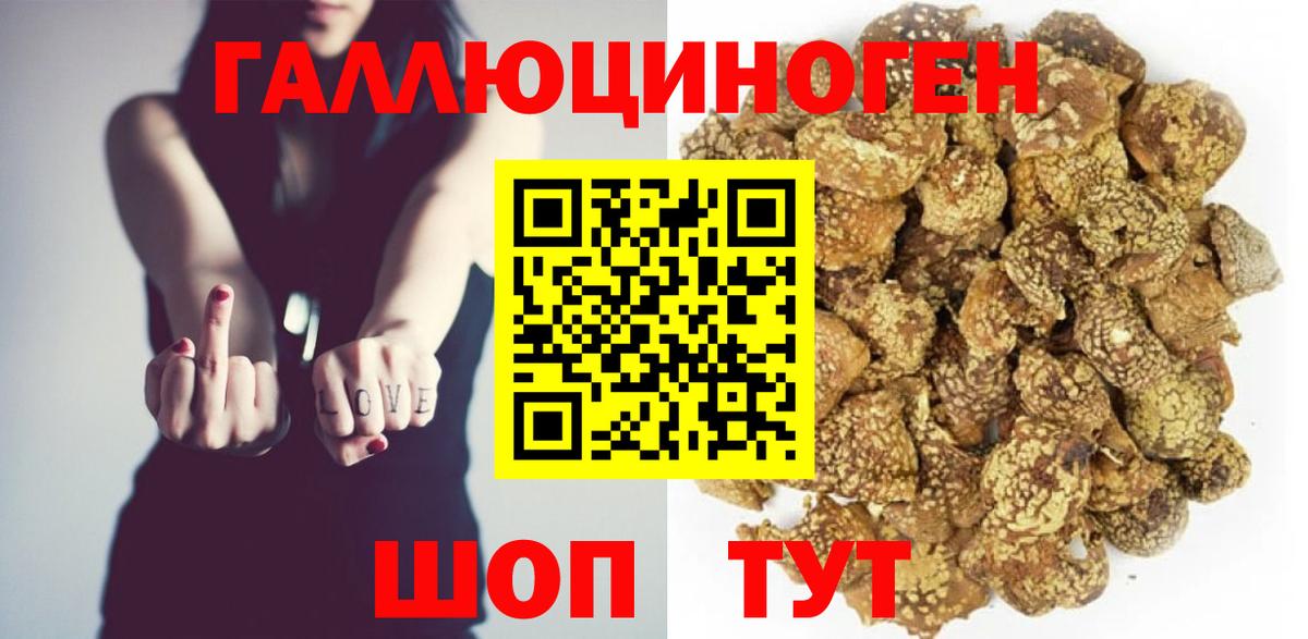 Псилоцибиновые грибы GOLDEN TEACHER  Вход с VPN  Галлюциногенные грибы Psilocybine cubensis  Ноябрьск 