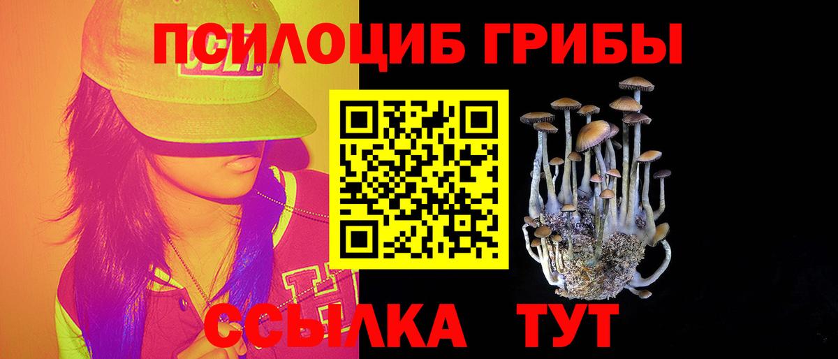 Галлюциногенные грибы Psilocybe Ноябрьск